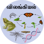 விலங்கியல்